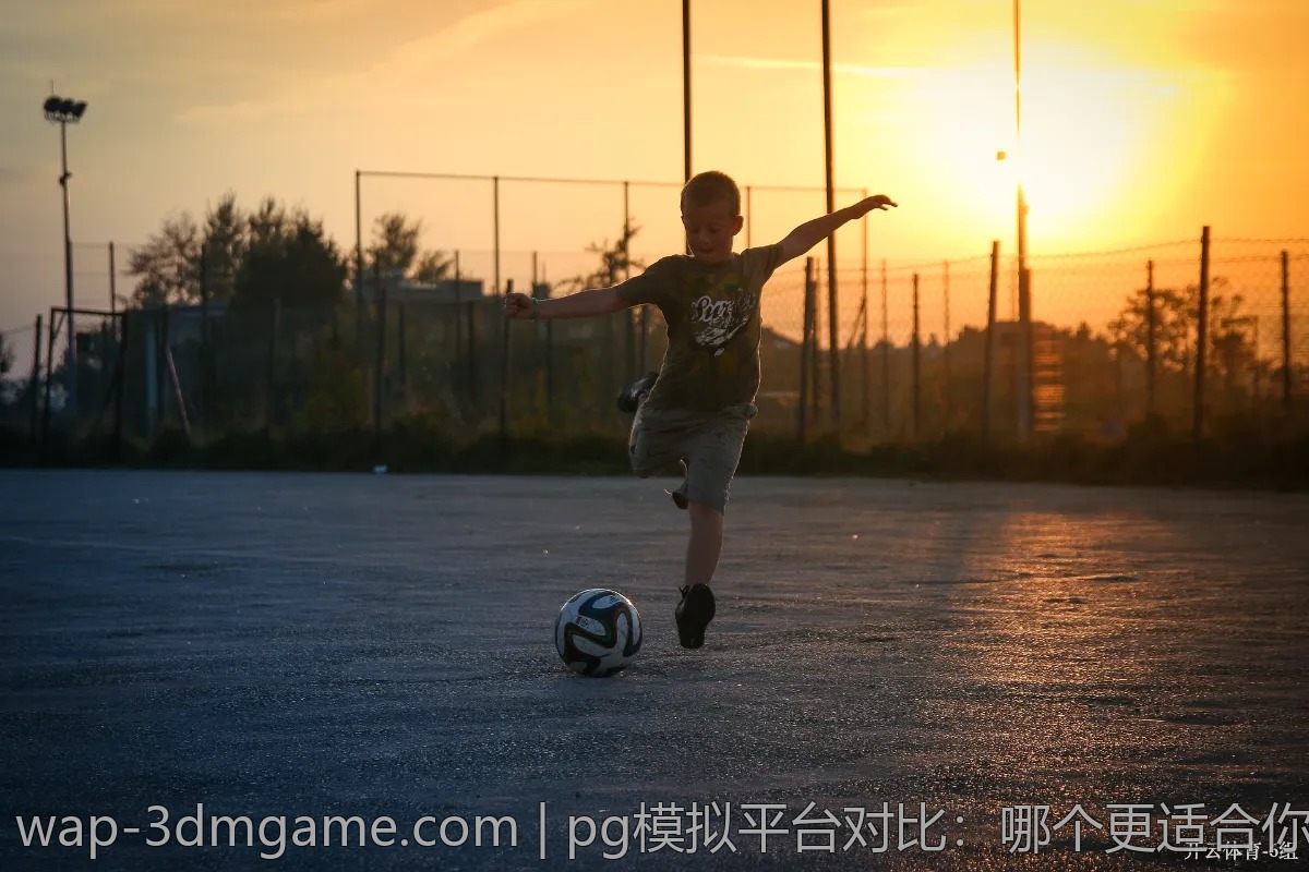 pg模拟平台对比：哪个更适合你的需求？