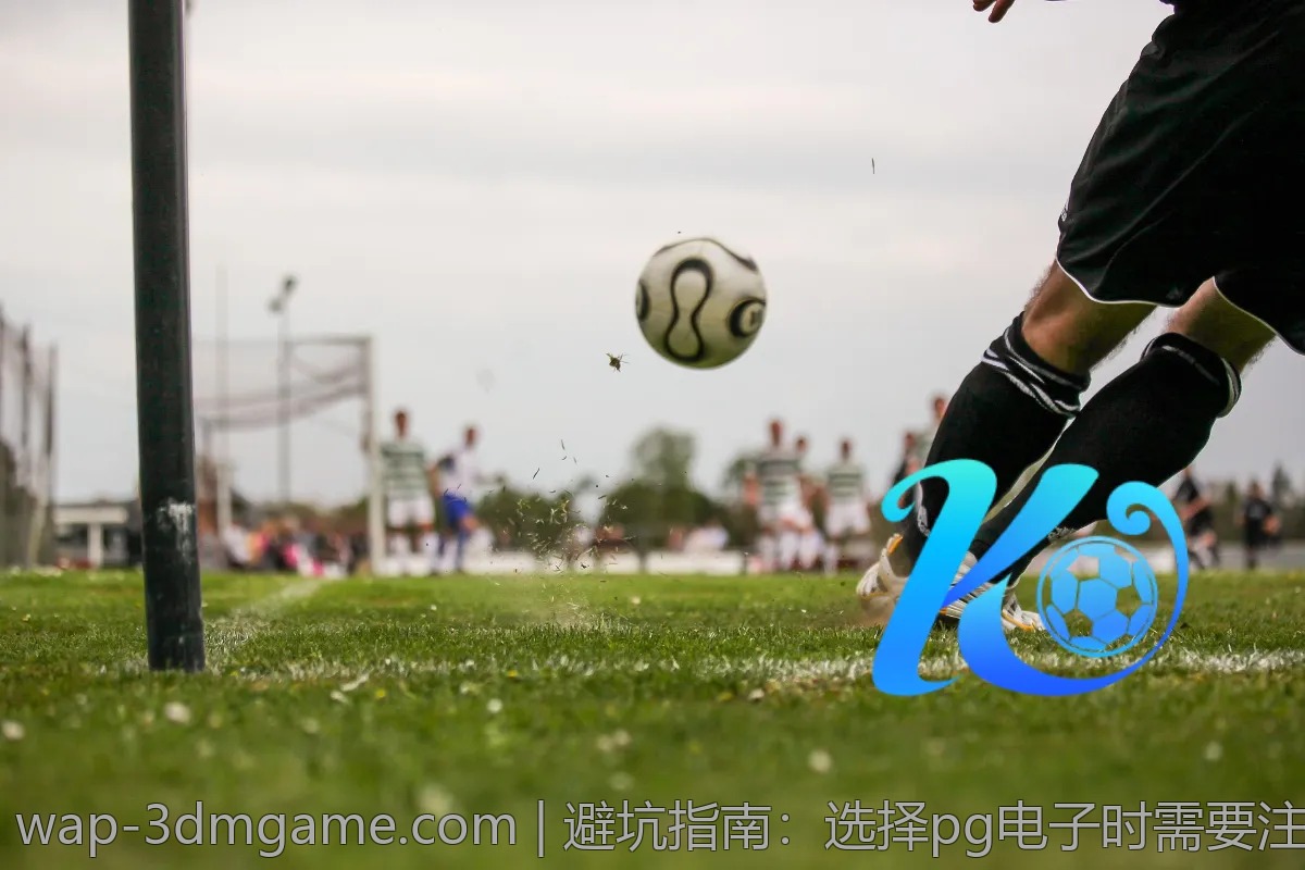 避坑指南：选择pg电子时需要注意的几点事项